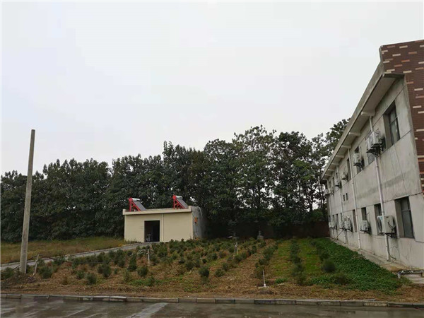 廠(chǎng)區綠化